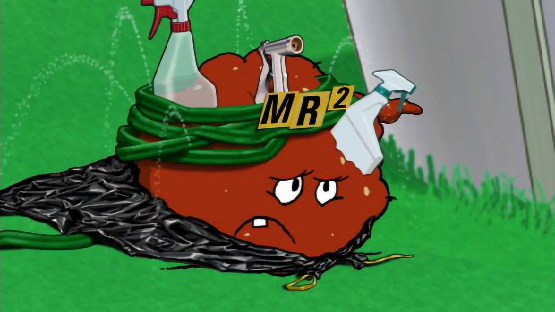 Meatwad (@thereal_meatwad) | TikTok