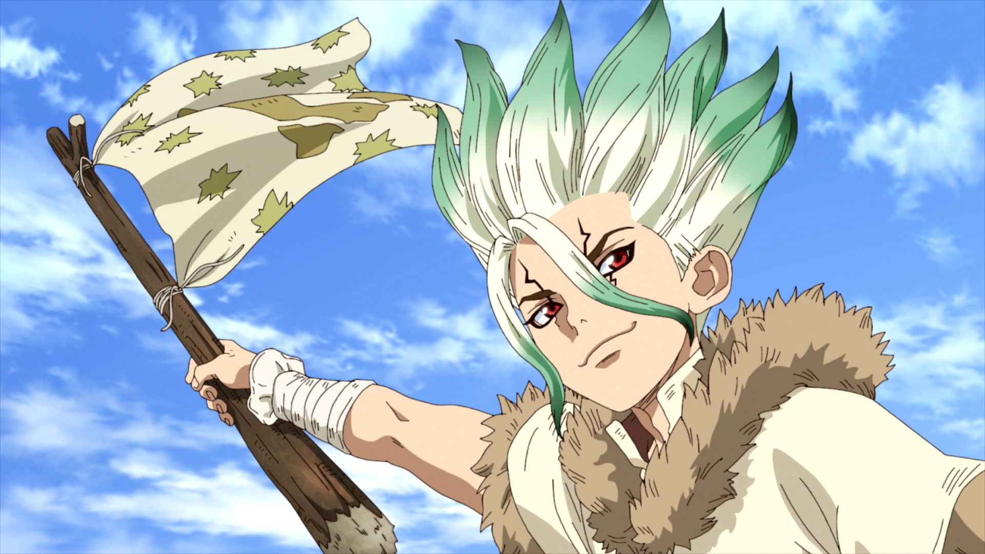 Dr Stone