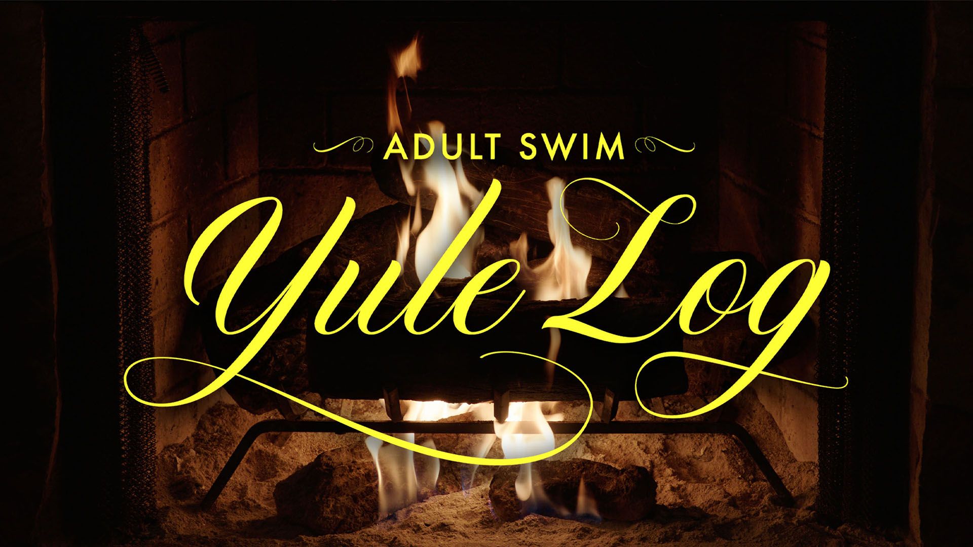 Watch Adult Swim Network Online